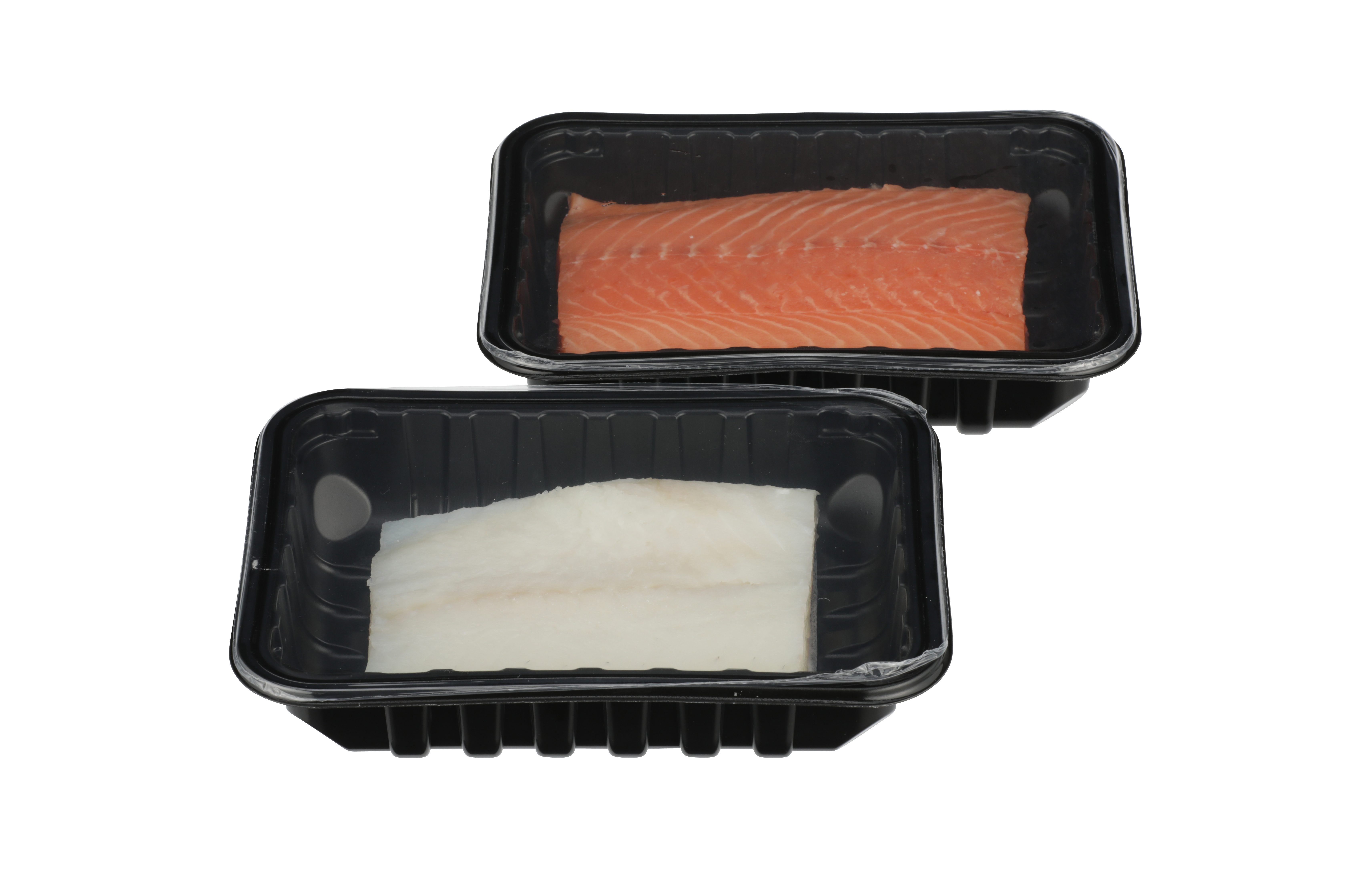 two fish in black LID film trays